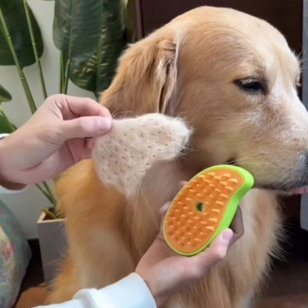 BROSSE POUR CHIEN À VAPEUR | VAPODOG™