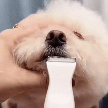 DoggyCoiff toiletteur pour animaux