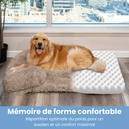 Coussin orthopédique DoggyDream