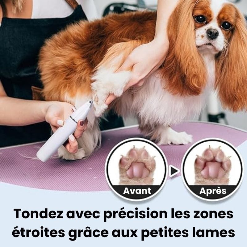 DoggyCoiff toiletteur pour animaux