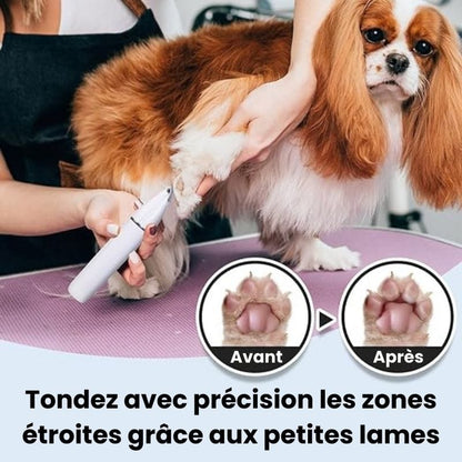 DoggyCoiff toiletteur pour animaux