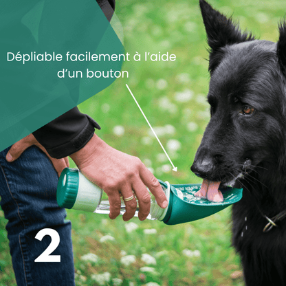 Bouteille pour chien PawHydrate