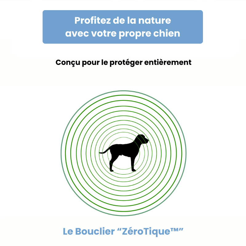 Bouclier Zérotique