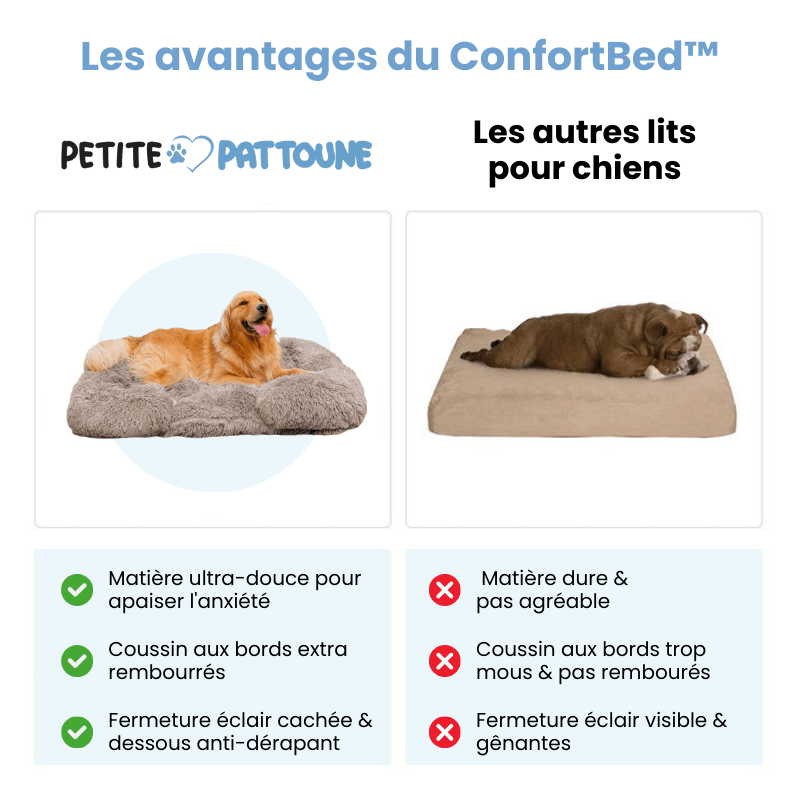 Coussin orthopédique DoggyDream