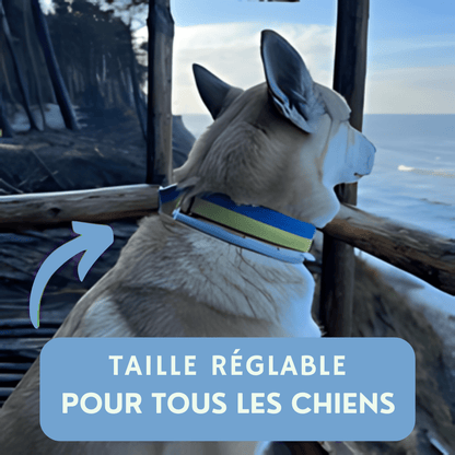 Collier pour animaux TickFree