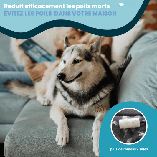 Démêlant pour fourrure PerfectPet