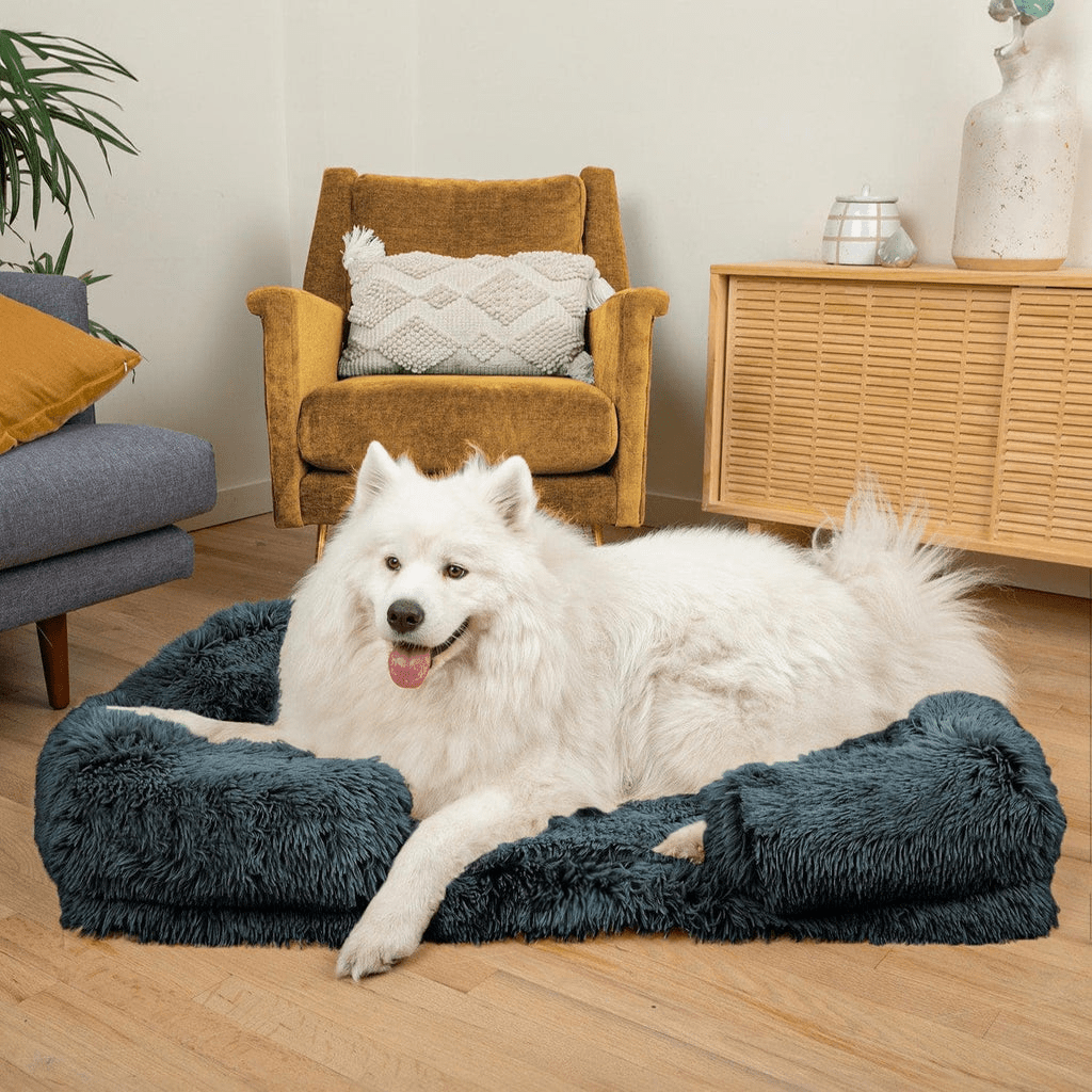 Coussin orthopédique DoggyDream