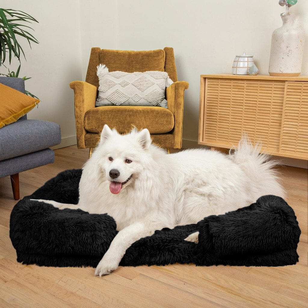 Coussin orthopédique DoggyDream