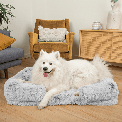 Coussin orthopédique DoggyDream