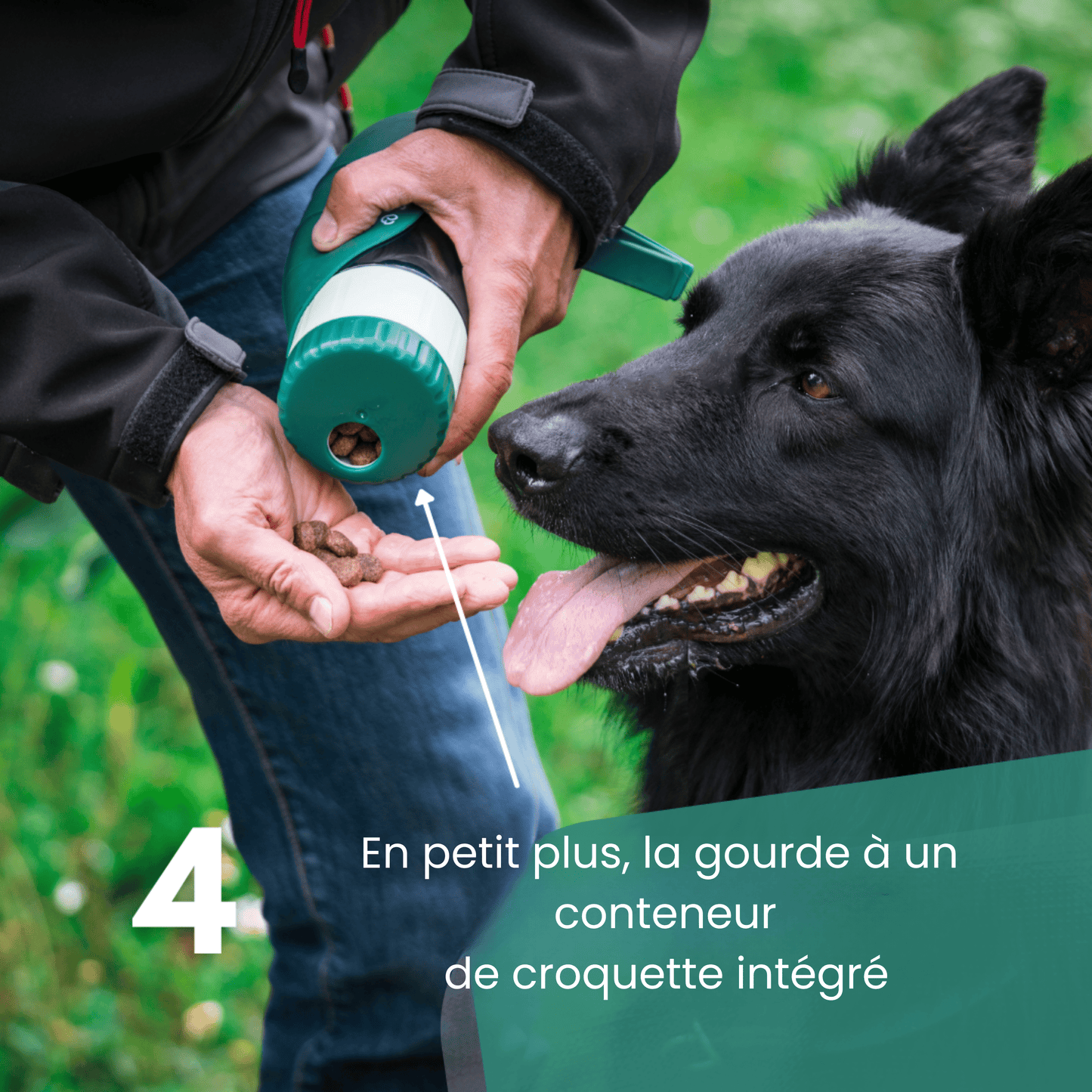 Bouteille pour chien PawHydrate